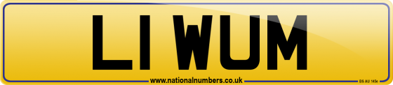 L1 WUM