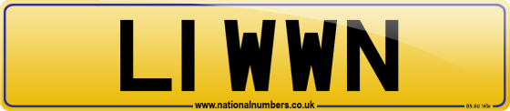 L1 WWN