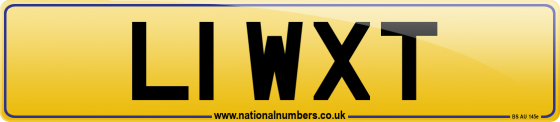 L1 WXT