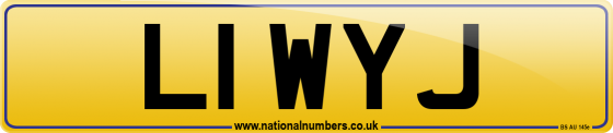 L1 WYJ