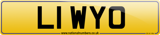 L1 WYO