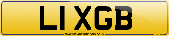 L1 XGB