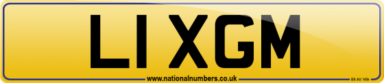 L1 XGM