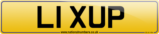 L1 XUP