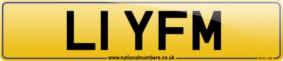 L1 YFM