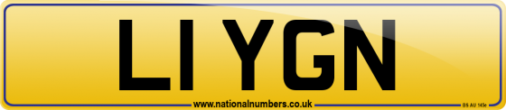 L1 YGN