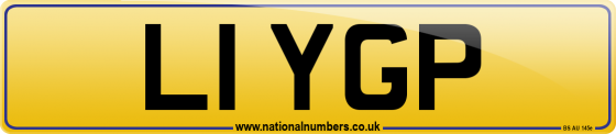 L1 YGP