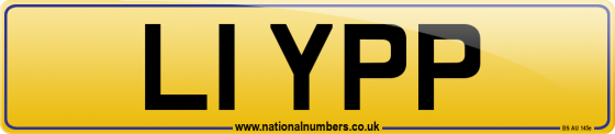 L1 YPP