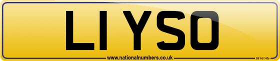 L1 YSO