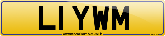 L1 YWM
