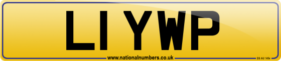 L1 YWP