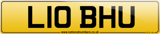 L10 BHU