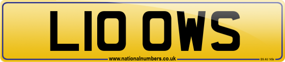 L10 OWS
