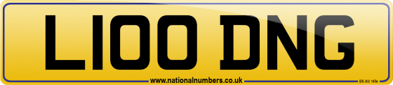 L100 DNG