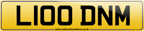 L100 DNM