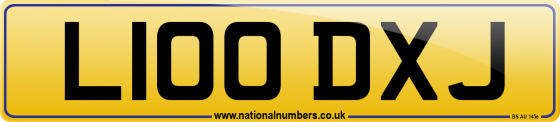 L100 DXJ