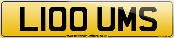 L100 UMS