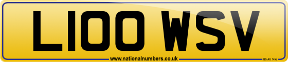 L100 WSV
