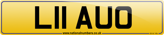 L11 AUO