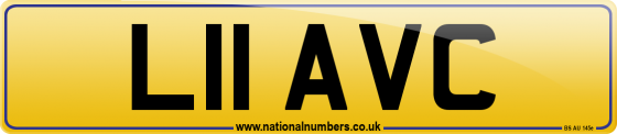L11 AVC