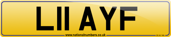 L11 AYF