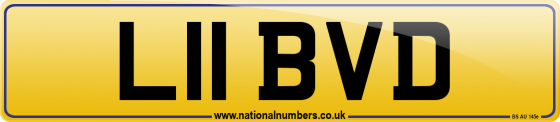 L11 BVD