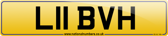 L11 BVH