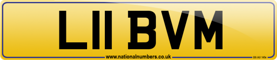 L11 BVM