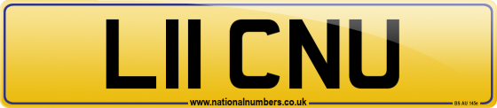 L11 CNU