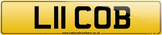 L11 COB