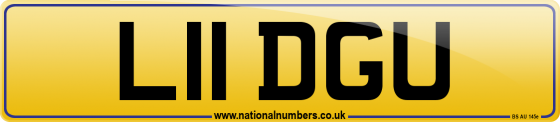 L11 DGU