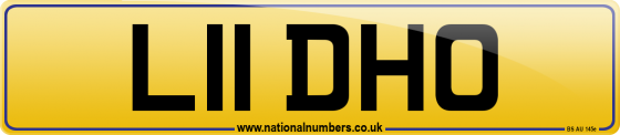 L11 DHO