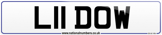 L11 DOW