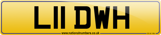 L11 DWH