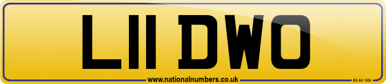 L11 DWO