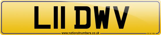 L11 DWV