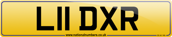 L11 DXR