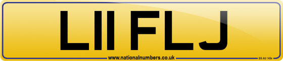L11 FLJ