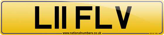 L11 FLV