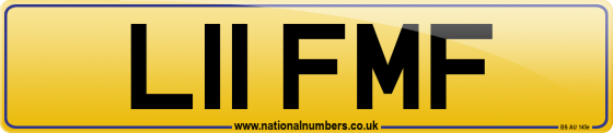 L11 FMF