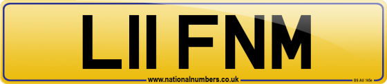 L11 FNM