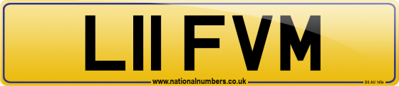 L11 FVM