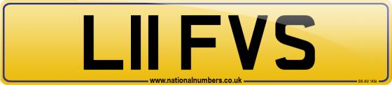 L11 FVS