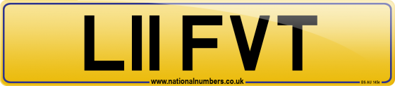 L11 FVT