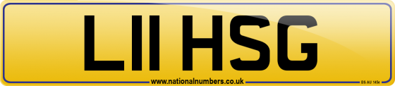 L11 HSG