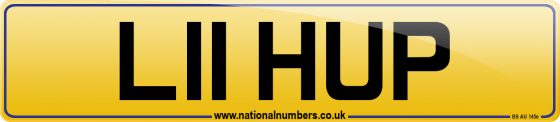 L11 HUP