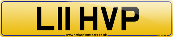 L11 HVP