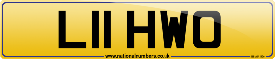 L11 HWO