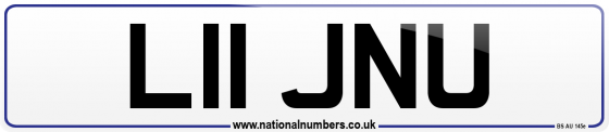 L11 JNU