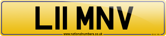L11 MNV